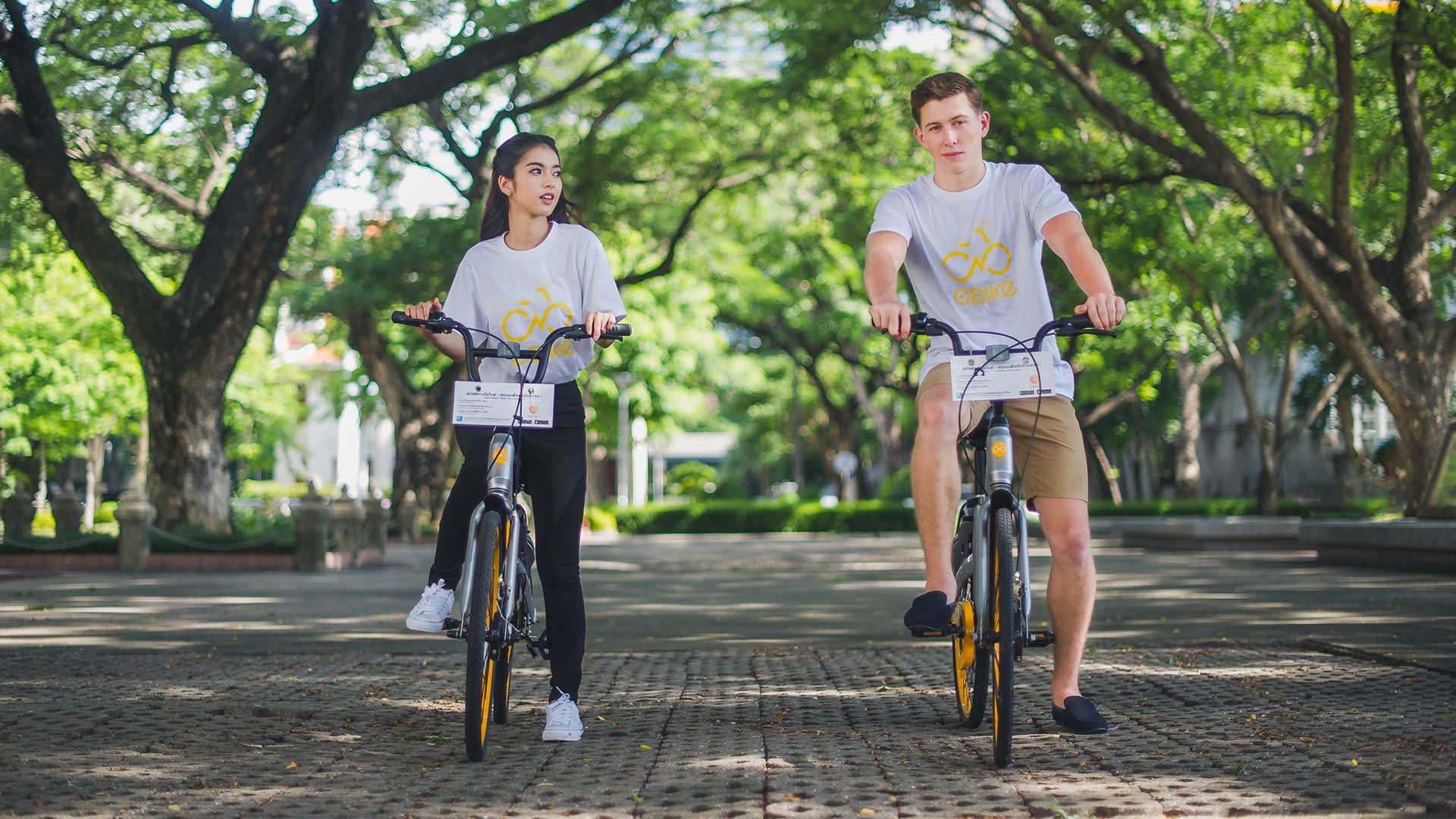 環(huán)保又健康的OBIKE共享自行車(chē)